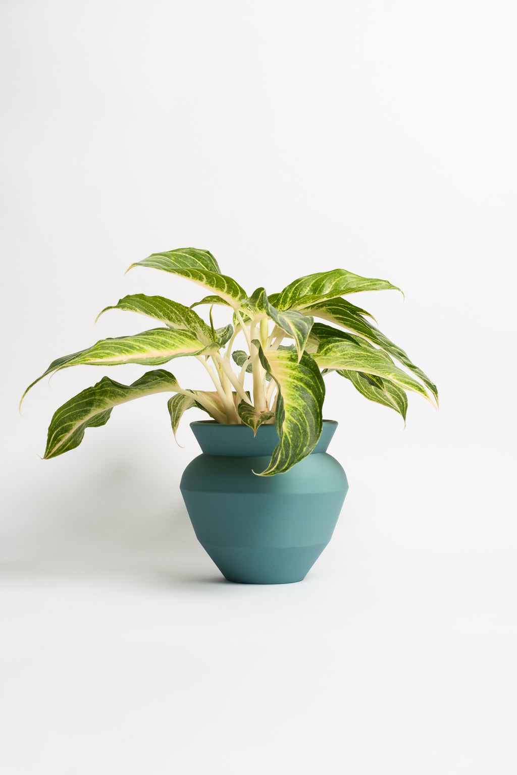 VASETTO GEOMETRIC CASCIO