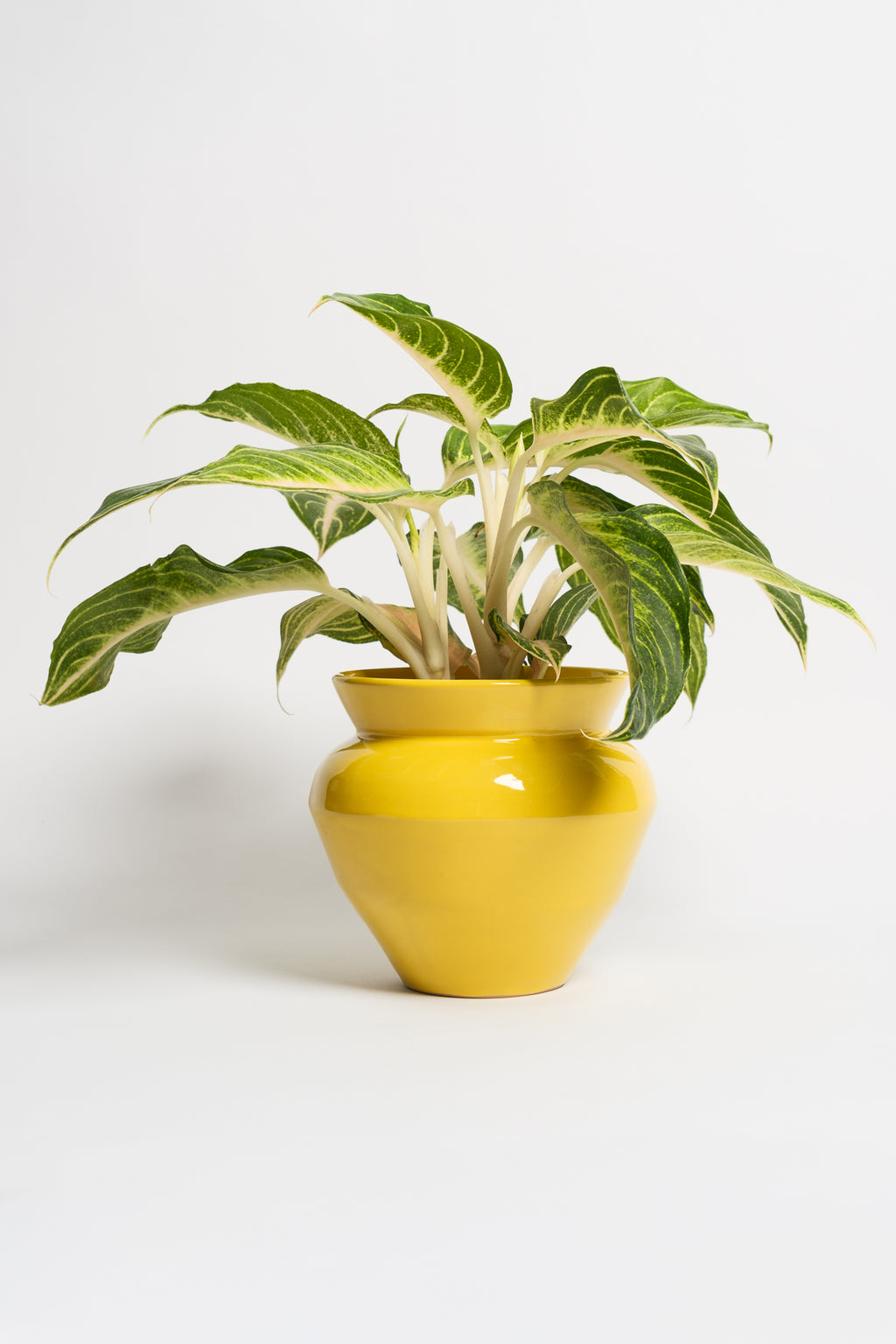 VASETTO GEOMETRIC CASCIO